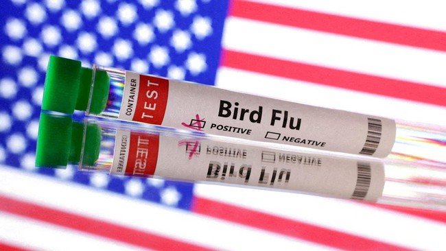 ilustrasi-flu-burung-di-as_169