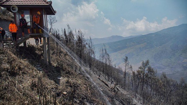 Karhutla di Sejumlah Gunung Jatim Belum Padam, Wisata Ditutup